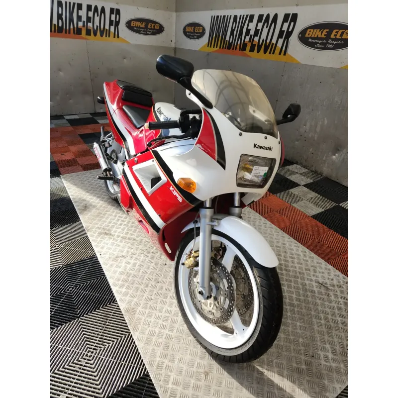 KAWASAKI KR-1 250