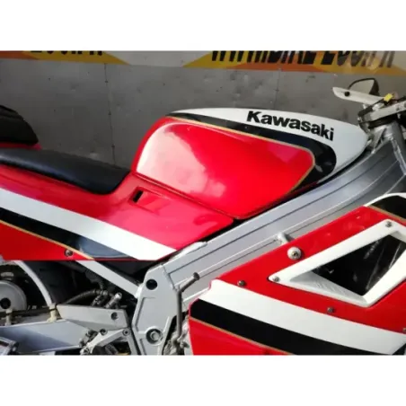 KAWASAKI KR-1 250