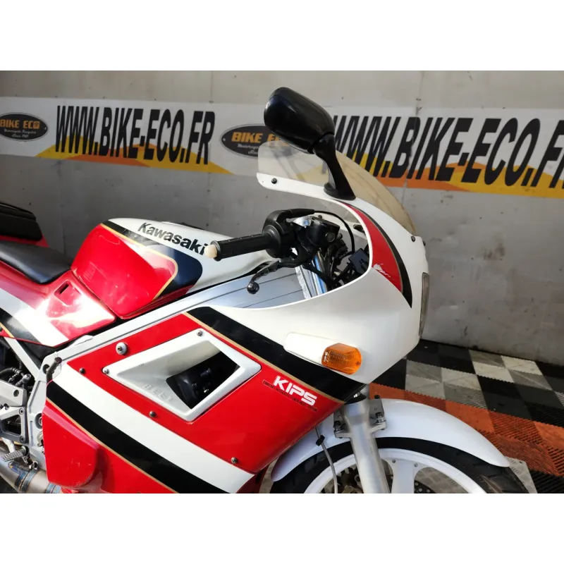 KAWASAKI KR-1 250