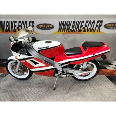 KAWASAKI KR-1 250