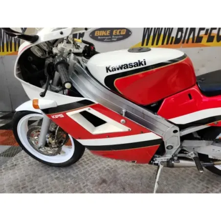 KAWASAKI KR-1 250