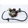 Stator alternateur PEUGEOT LUDIX 50 2005 - 2011 Stator alternateur PEUGEOT LUDIX 50 2005 - 2011