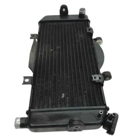 Radiateur eau YAMAHA TDM 900 2002-2014