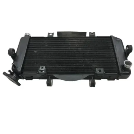 Radiateur eau YAMAHA TDM 900 2002-2014