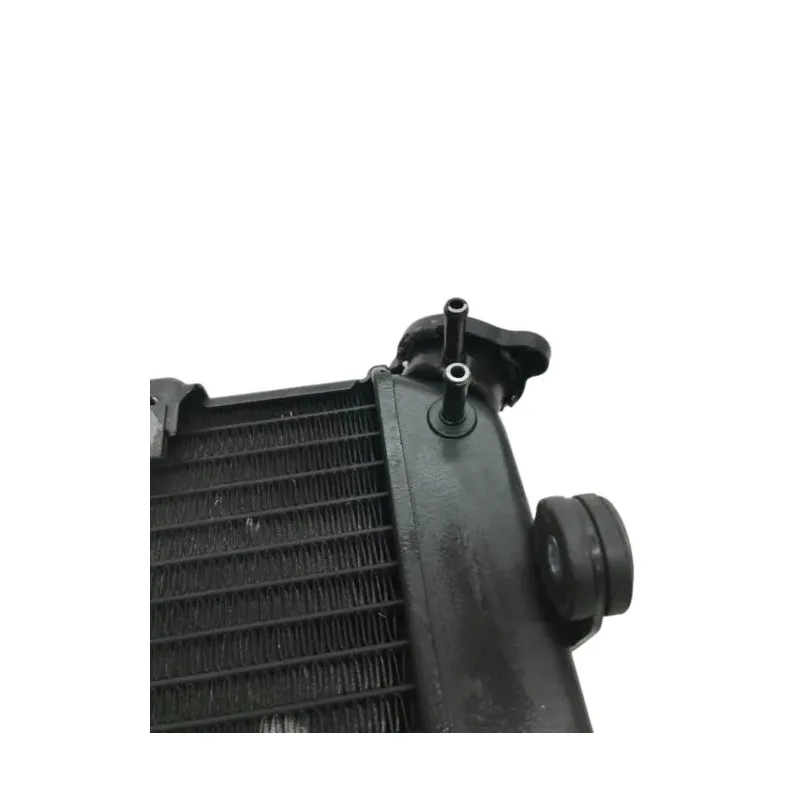 Radiateur eau YAMAHA TDM 900 2002-2014