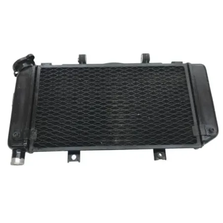 Radiateur eau YAMAHA TDM 900 2002-2014