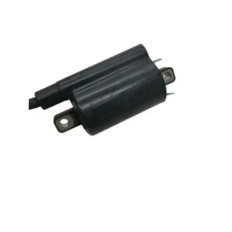 Bobine allumage YAMAHA TDM 900 2002-2014