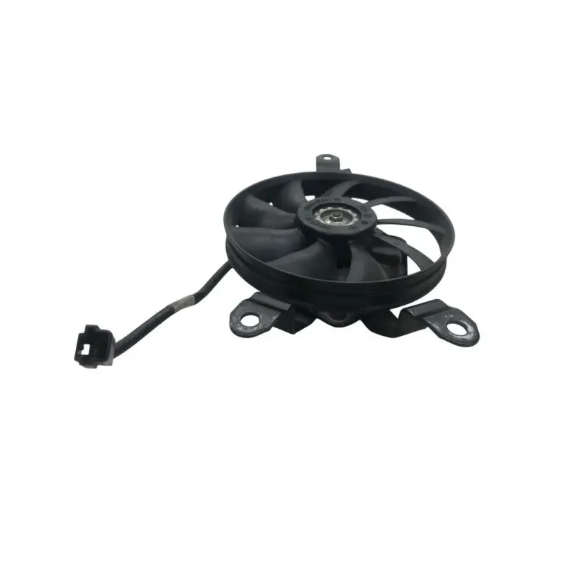 Ventilateur SUZUKI AN 400 2007-2010 BURGMAN