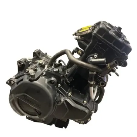 Moteur BENELLI 502 C 2019-2020 CRUISER