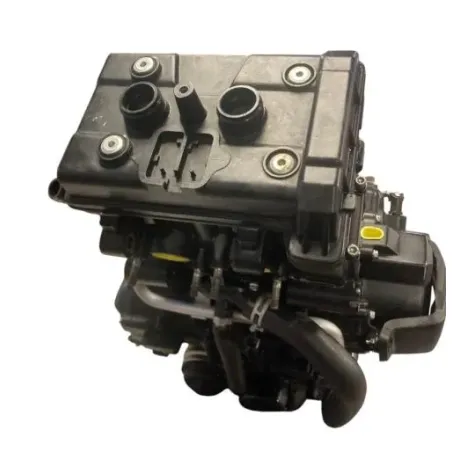 Moteur BENELLI 502 C 2019-2020 CRUISER
