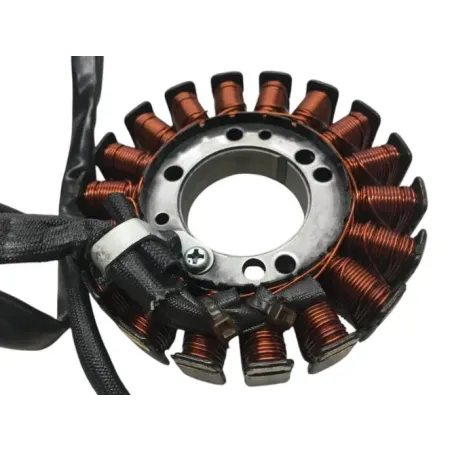 Stator alternateur YAMAHA TTR 250 1999-2009
