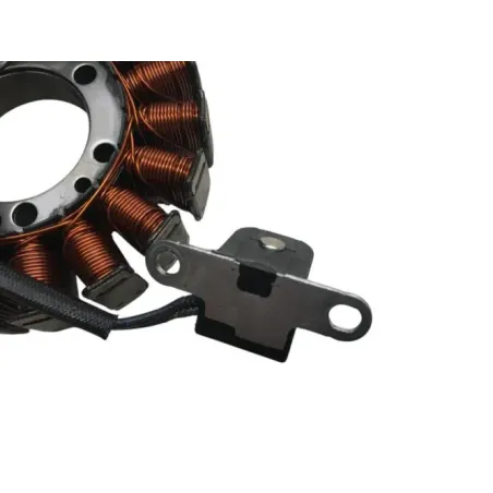 Stator alternateur YAMAHA TTR 250 1999-2009