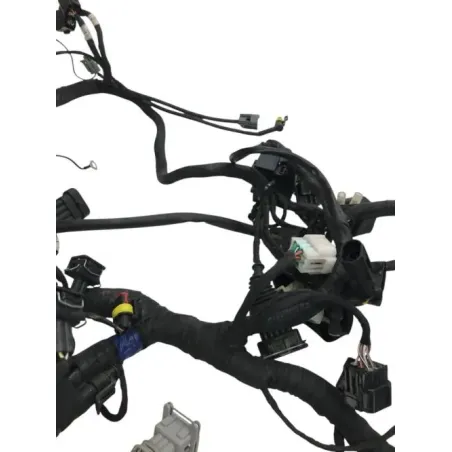 Faisceau electrique BENELLI 502 C 2019-2020 CRUISER