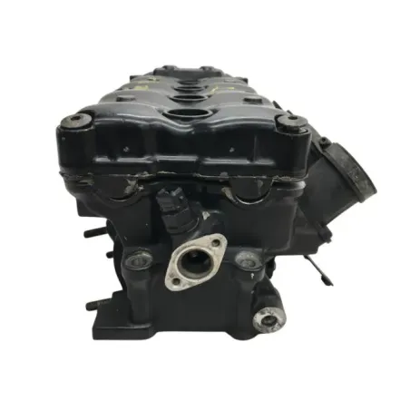 Culasse TRIUMPH TT 600 2000-2003