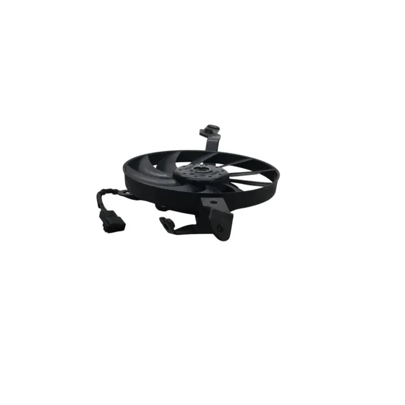 Ventilateur TRIUMPH SPEED TRIPLE 1050 R 2012-2015