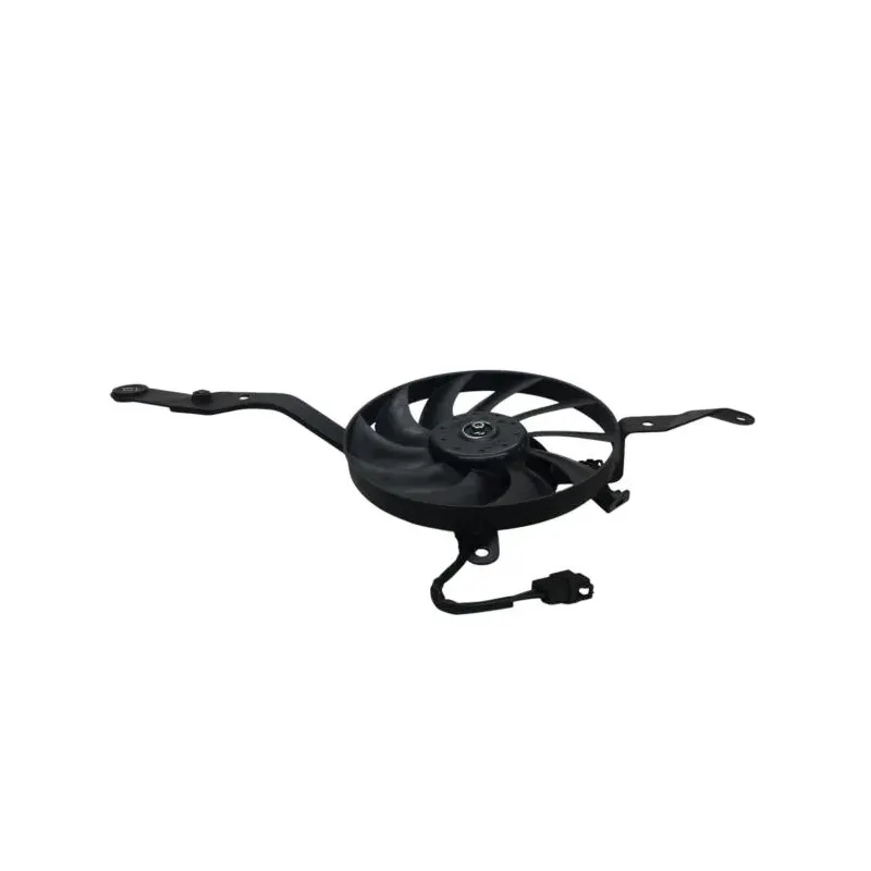 Ventilateur TRIUMPH SPEED TRIPLE 1050 R 2012-2015