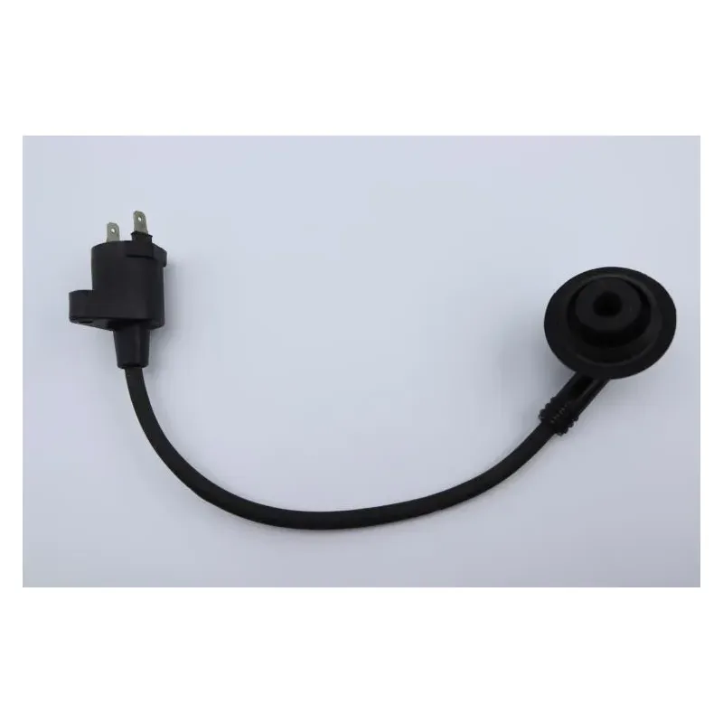 Bobine allumage PEUGEOT VIVACITY 50 1998 - 2007