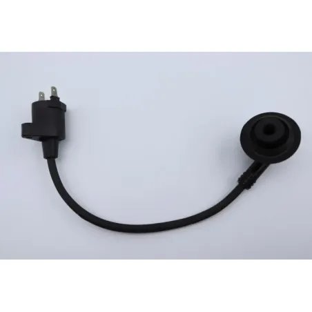 Bobine allumage PEUGEOT VIVACITY 50 1998 - 2007