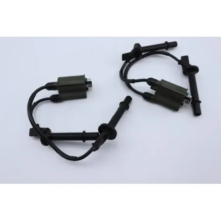 Bobine allumage HONDA CB 600 F HORNET ABS 2011 - 2014