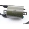Bobine allumage HONDA CB 600 F HORNET ABS 2011 - 2014 Bobine allumage HONDA CB 600 F HORNET ABS 2011 - 2014