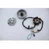 Rotor volant moteur DERBI SENDA DRD 50 XTREME SM 2010 - 2017 Rotor volant moteur DERBI SENDA DRD 50 XTREME SM 2010 - 2017