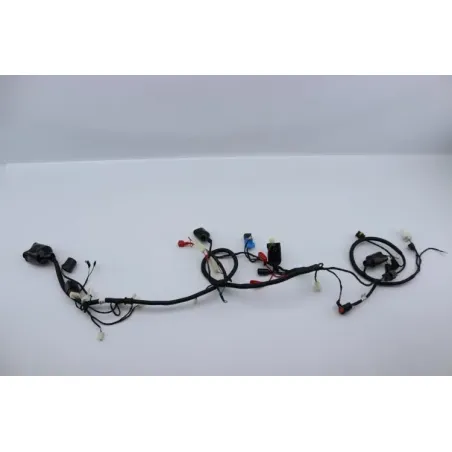 Faisceau electrique ORCAL ARIOS 50 10" 2021 - 2024