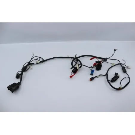Faisceau electrique ORCAL ARIOS 50 10" 2021 - 2024