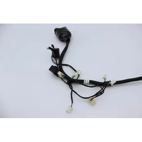 Faisceau electrique ORCAL ARIOS 50 10" 2021 - 2024