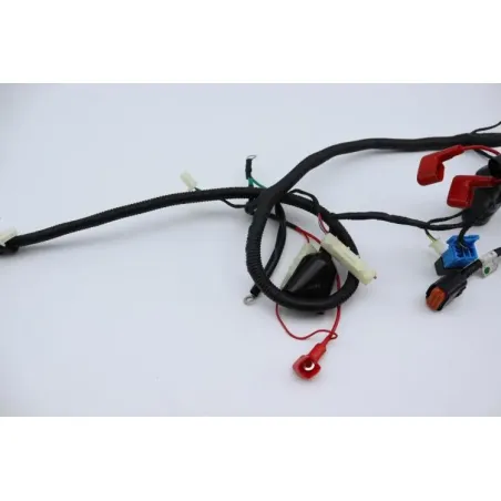 Faisceau electrique ORCAL ARIOS 50 10" 2021 - 2024