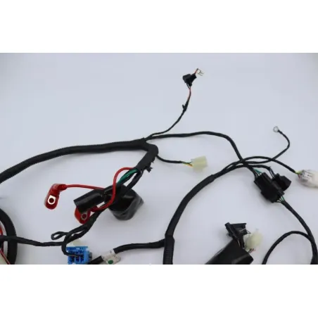 Faisceau electrique ORCAL ARIOS 50 10" 2021 - 2024