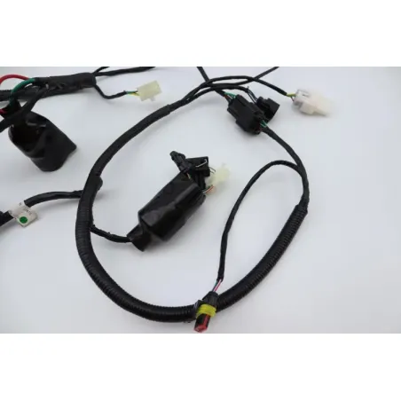 Faisceau electrique ORCAL ARIOS 50 10" 2021 - 2024
