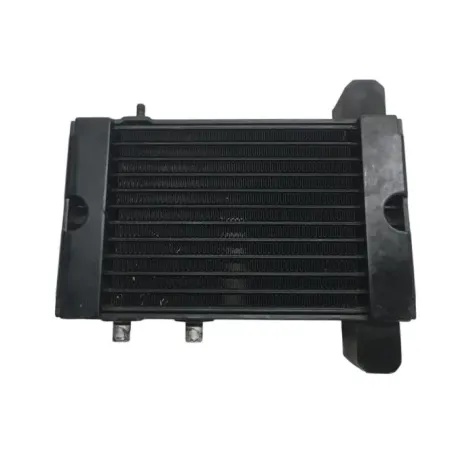 Radiateur huile BUELL 1125 R 2008-2010