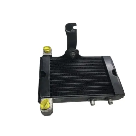 Radiateur huile BUELL 1125 R 2008-2010