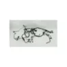 Faisceau electrique KAWASAKI ER6 650 N 2009 - 2011