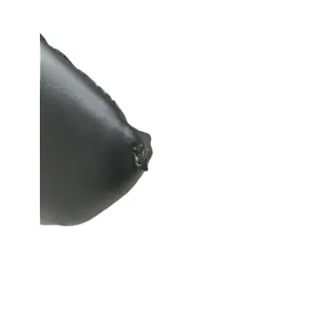 Selle BMW C 650 GT 2012-2015 K19