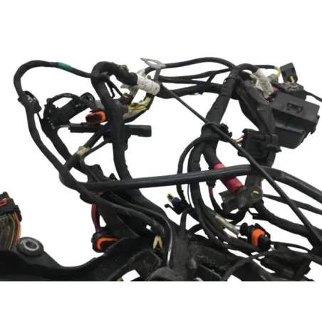 Faisceau electrique BUELL 1125 R 2008-2010