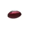 Support de plaque et eclairage BUELL 1125 R 2008-2010