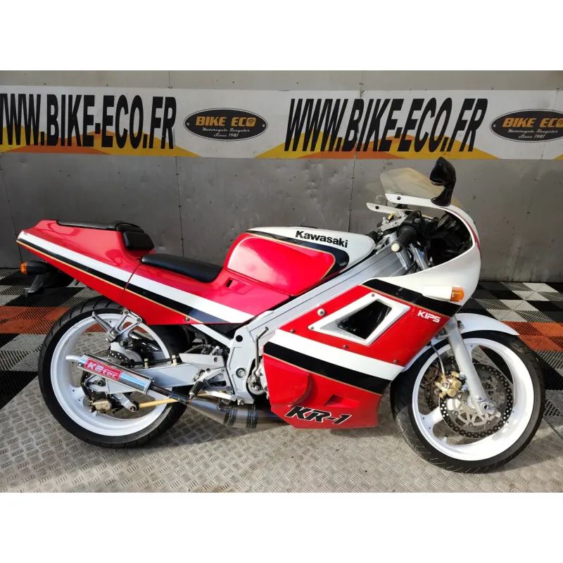 KAWASAKI KR-1 250