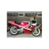KAWASAKI KR-1 250