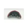 Feu arriere HONDA NTV 700 DEAUVILLE ABS 2006 - 2016 Feu arriere HONDA NTV 700 DEAUVILLE ABS 2006 - 2016