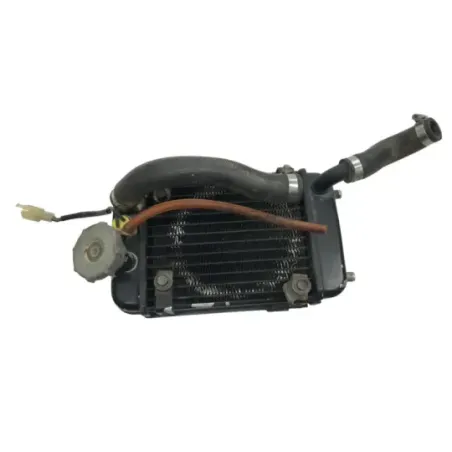 Radiateur eau HONDA RTL 250 R 1997-2001