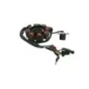 Stator alternateur HONDA RTL 250 R 1997-2001 Stator alternateur HONDA RTL 250 R 1997-2001
