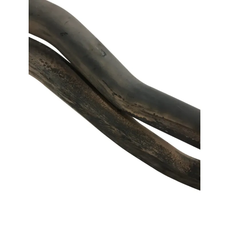 Ligne d'echappement SUZUKI AN 650 2003-2012 BURGMAN