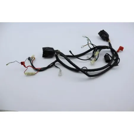 Faisceau electrique EUROCKA GTR 50 2011 - 2014
