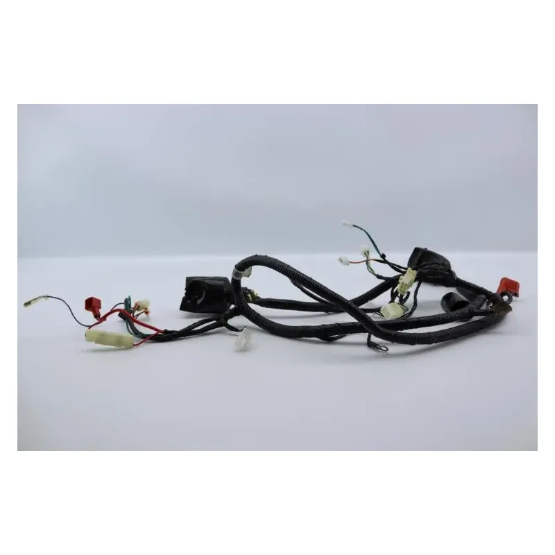 Faisceau electrique EUROCKA GTR 50 2011 - 2014