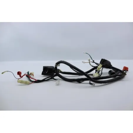 Faisceau electrique EUROCKA GTR 50 2011 - 2014