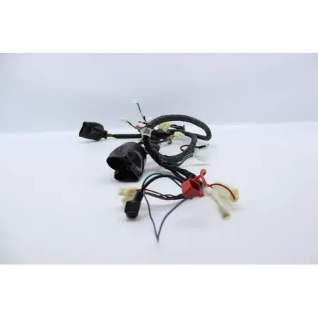 Faisceau electrique EUROCKA GTR 50 2011 - 2014