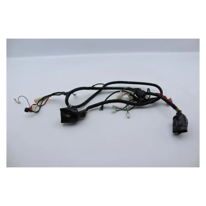 Faisceau electrique EUROCKA GTR 50 2011 - 2014