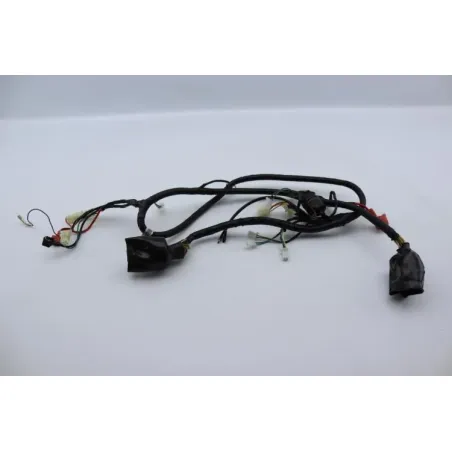 Faisceau electrique EUROCKA GTR 50 2011 - 2014