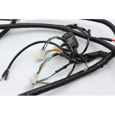 Faisceau electrique EUROCKA GTR 50 2011 - 2014